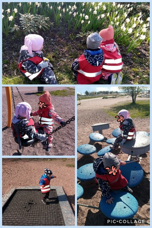 Collage 2020-05-22 12_20_30.jpg