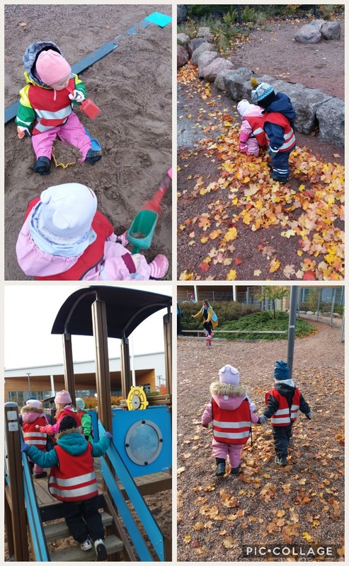 Collage 2019-10-10 12_35_11.jpg