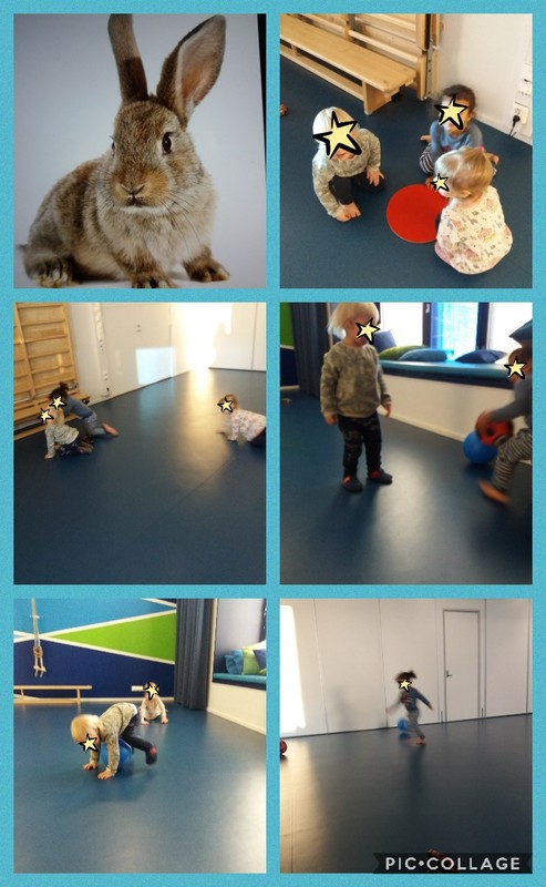 Collage 2020-01-09 12_53_54.jpg