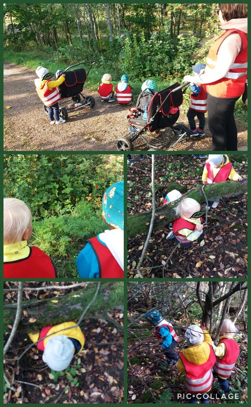 Collage 2019-09-12 13_08_40.jpg