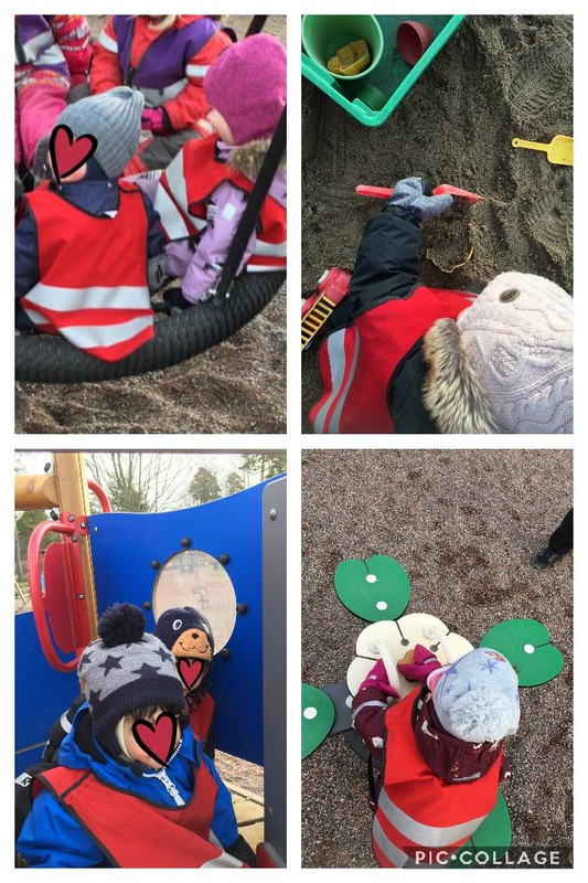 Collage 2020-02-21 12_16_29.jpg