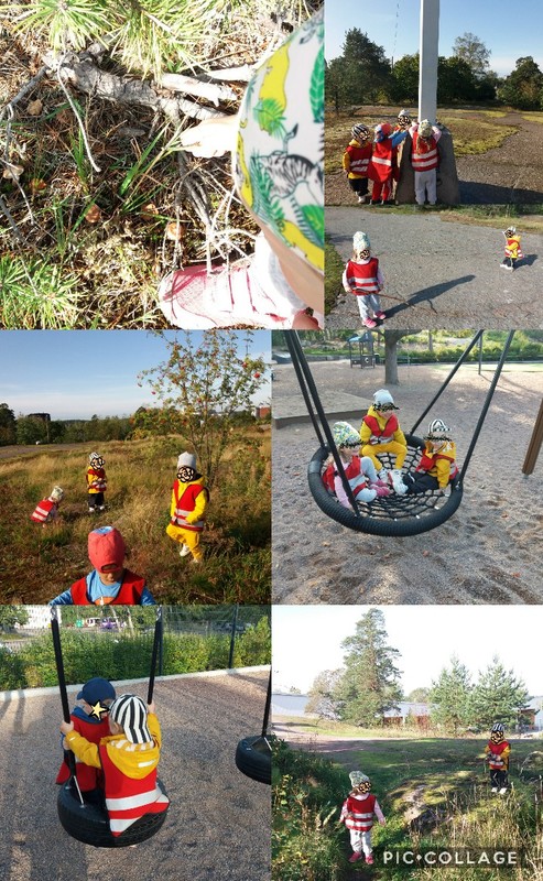 Collage 2019-09-11 13_00_11.jpg