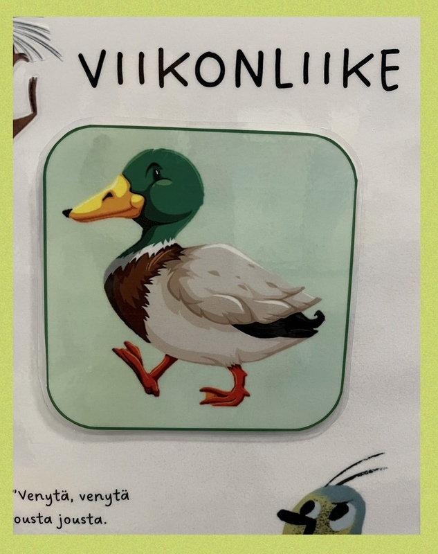 Kuvassa sorsa