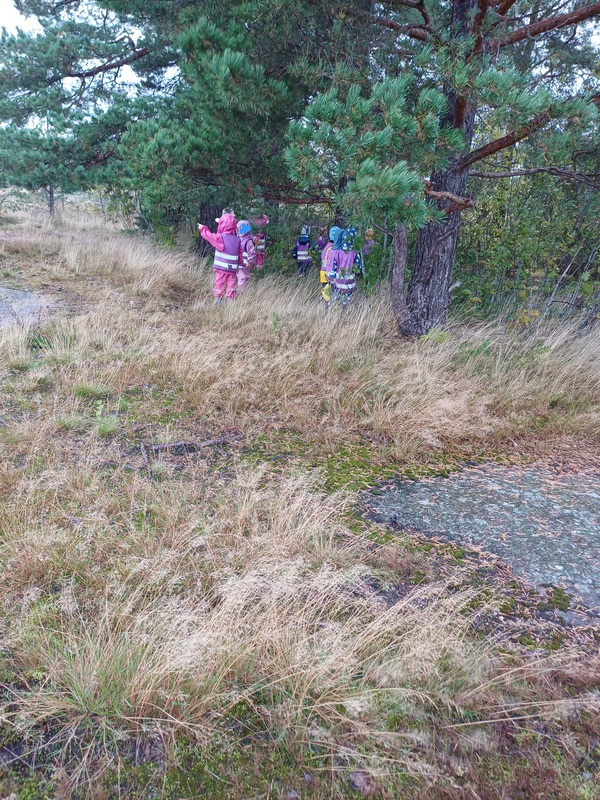 20260908_092422.jpg