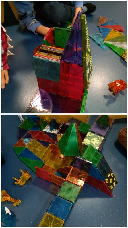 20260923_195556-COLLAGE.jpg