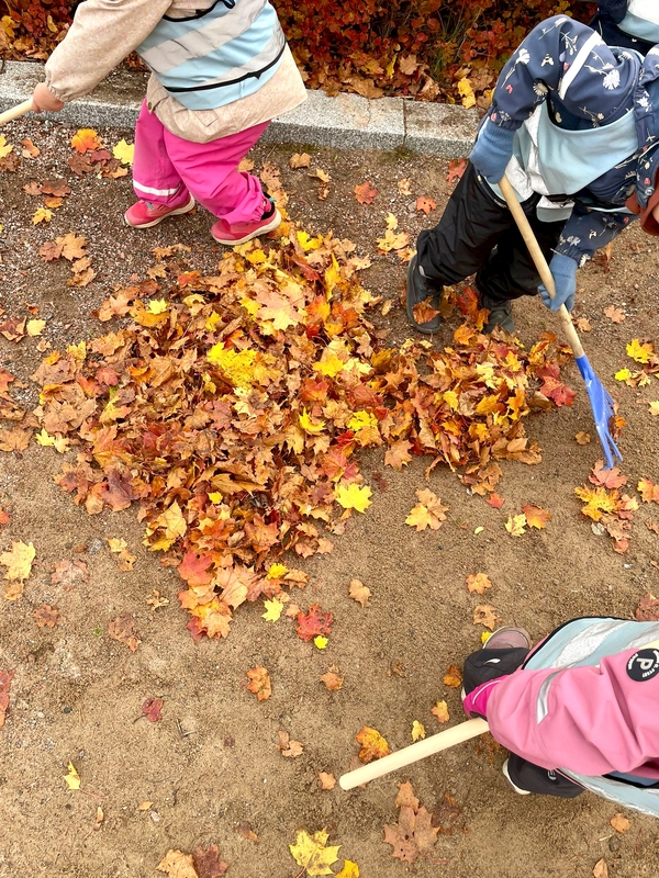 IMG_20251008_195748.jpg