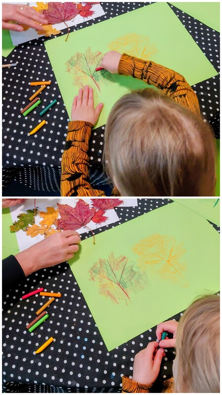 20260923_173214-COLLAGE.jpg