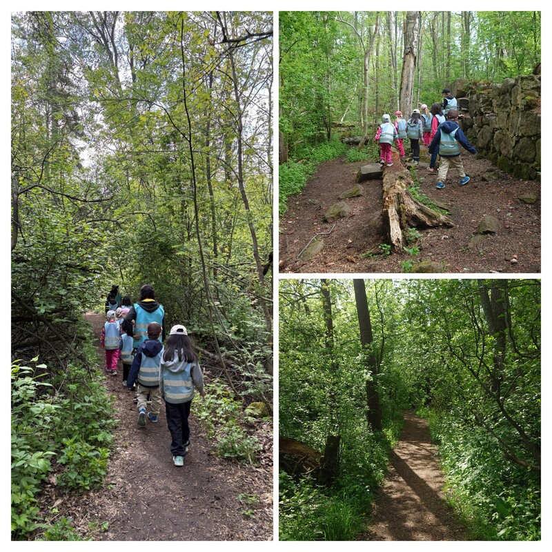 20260521_130244-COLLAGE.jpg