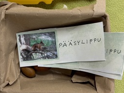 Pääsylippu