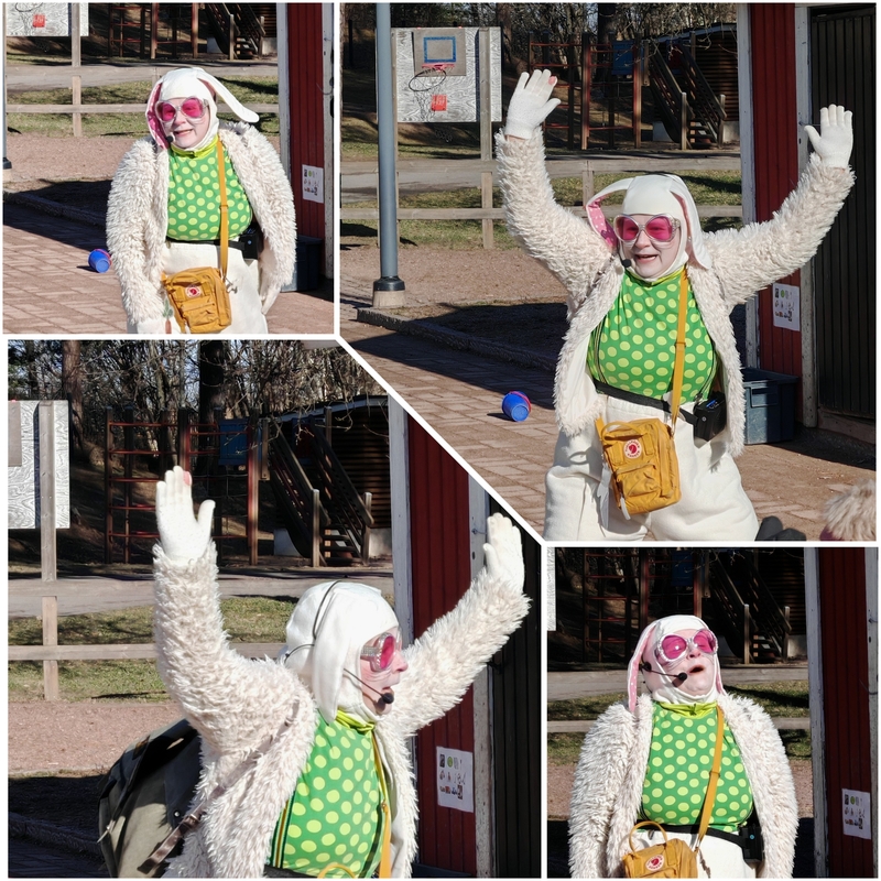 photocollage_2026717131354710.jpg