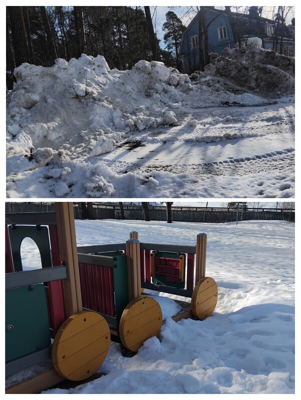 20260304_135648-COLLAGE.jpg