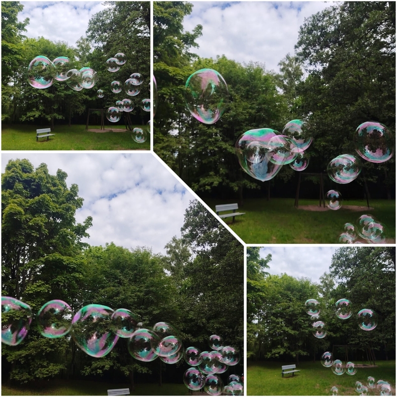 photocollage_202671713114869.jpg
