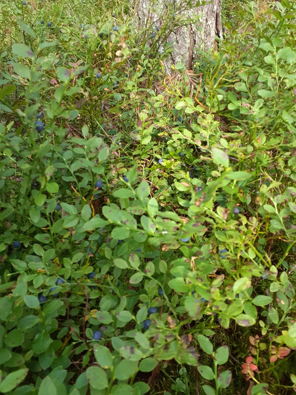 20250819_095556.jpg