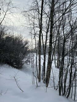 IMG_0132.jpeg