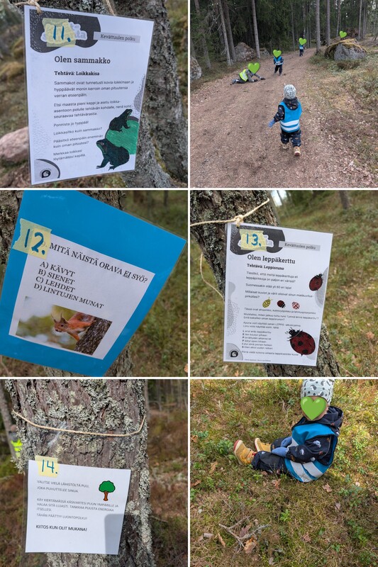 20260506_124536-COLLAGE.jpg