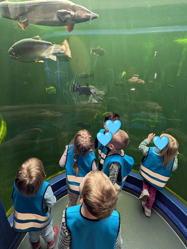 PXL_20260513_075717788~2.jpg