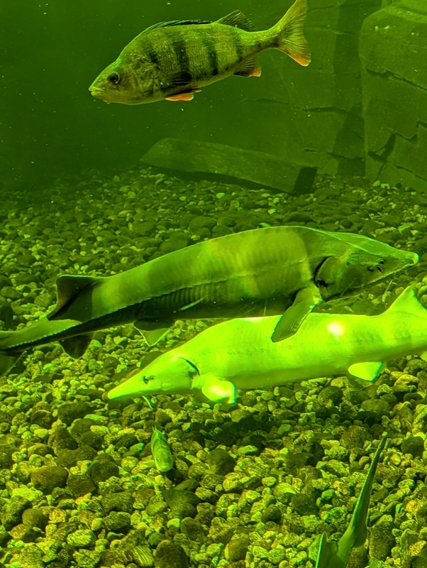 PXL_20260513_081001031.jpg