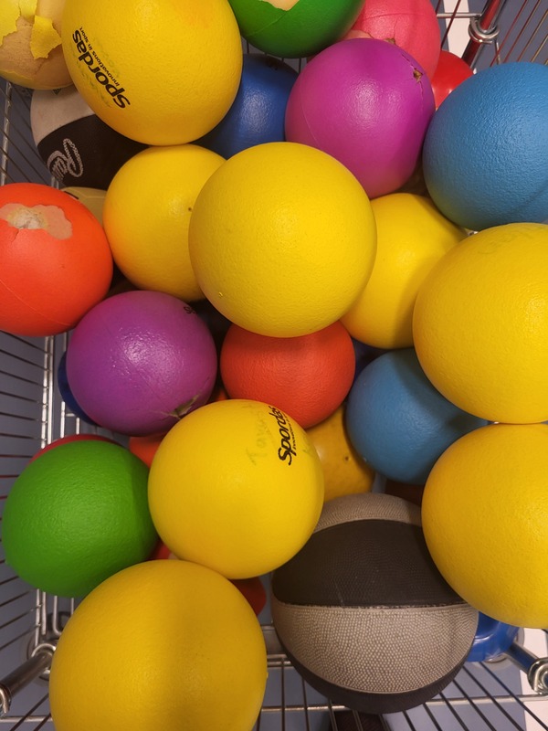 20251103_103449.jpg