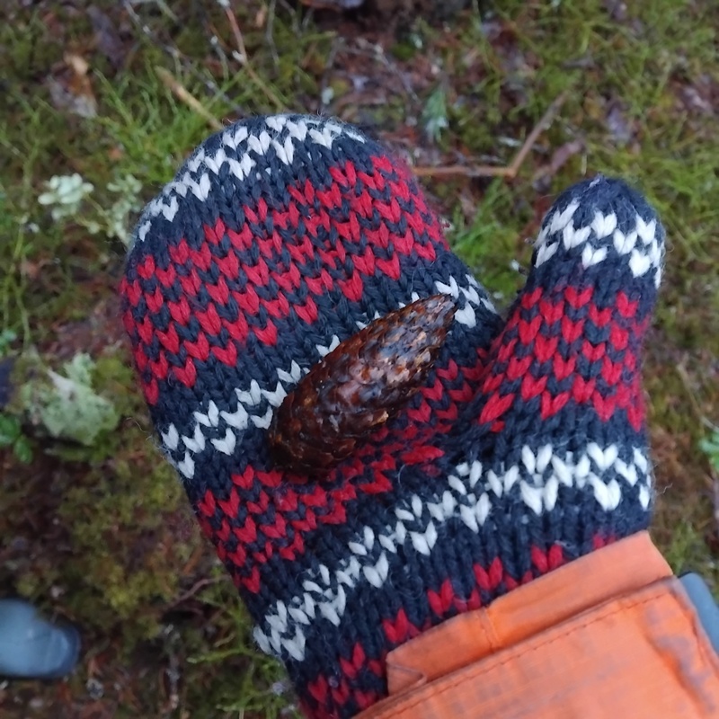 Huolikäpy