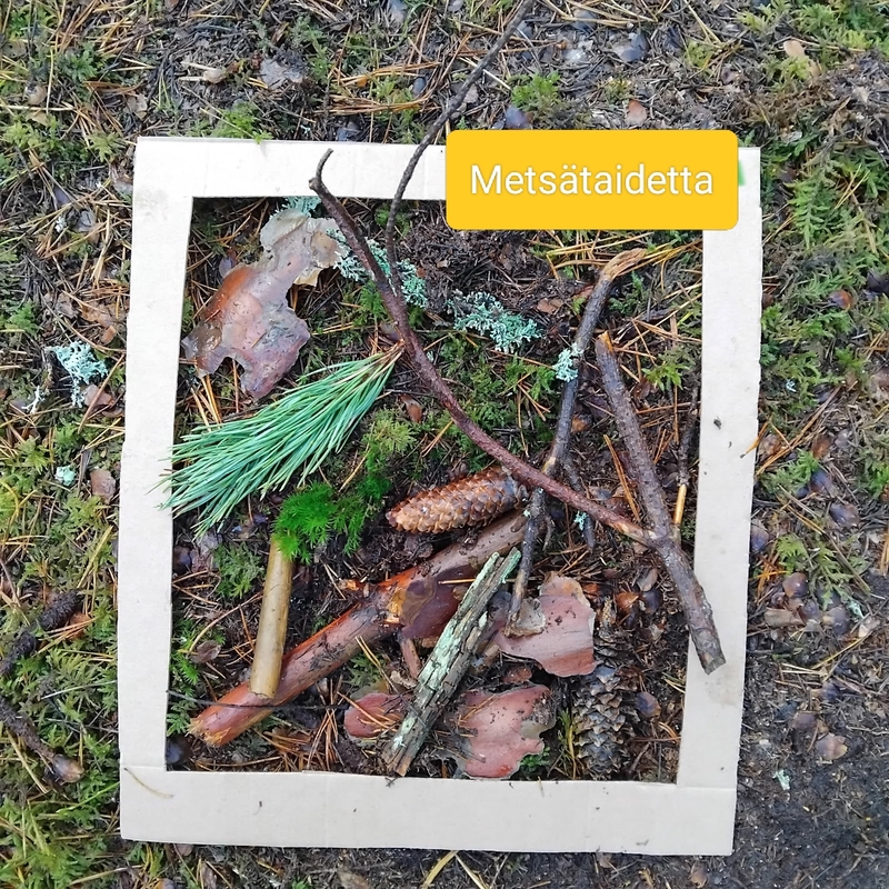 Metsätaidetta