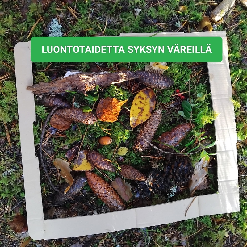 Metsätaidetta