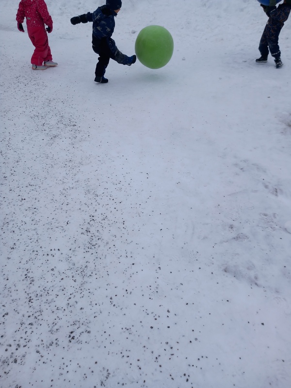 20260217_103118.jpg