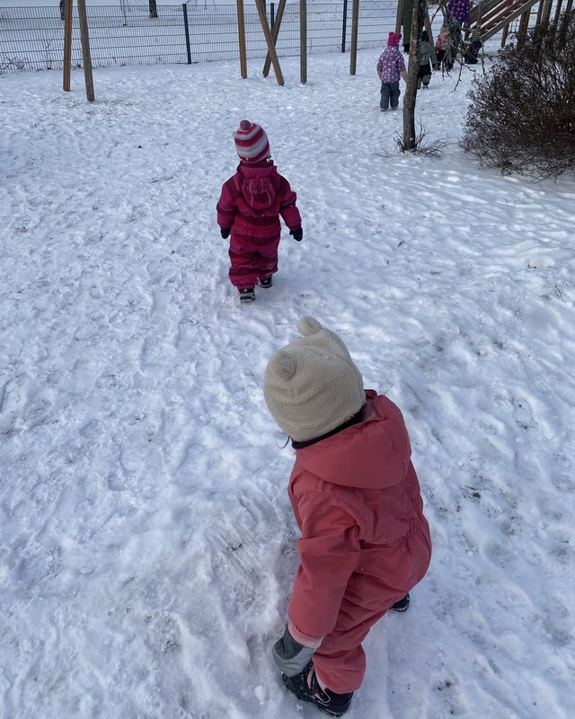 IMG_4176.jpeg