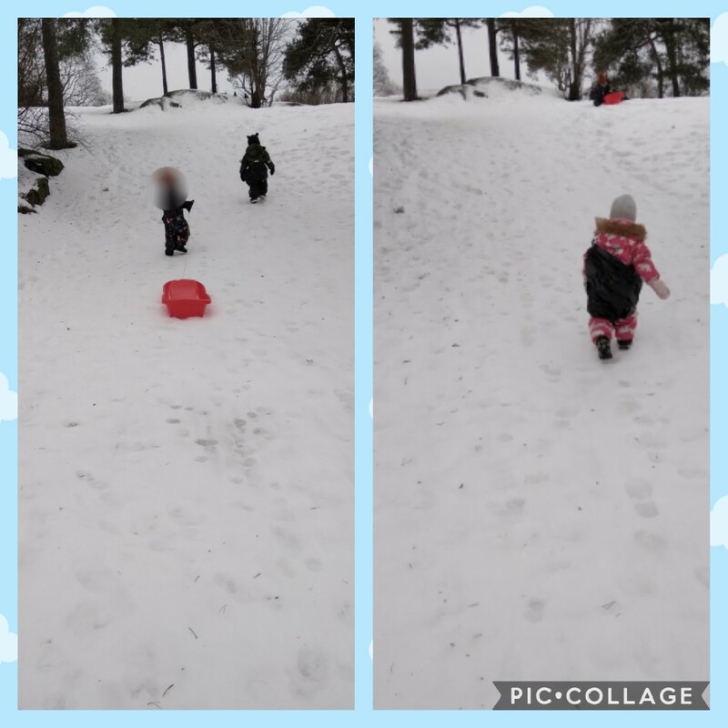 Collage 2022-02-08 06_35_07.jpg