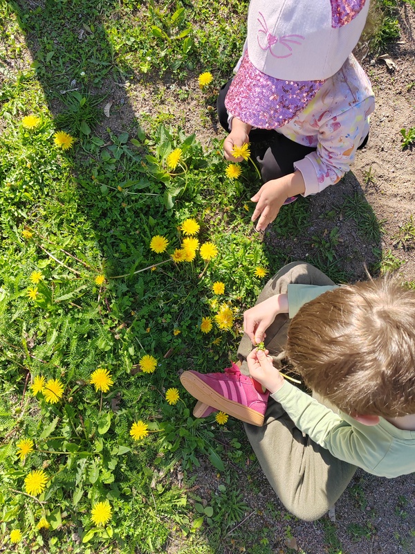 IMG_20260525_102435.jpg