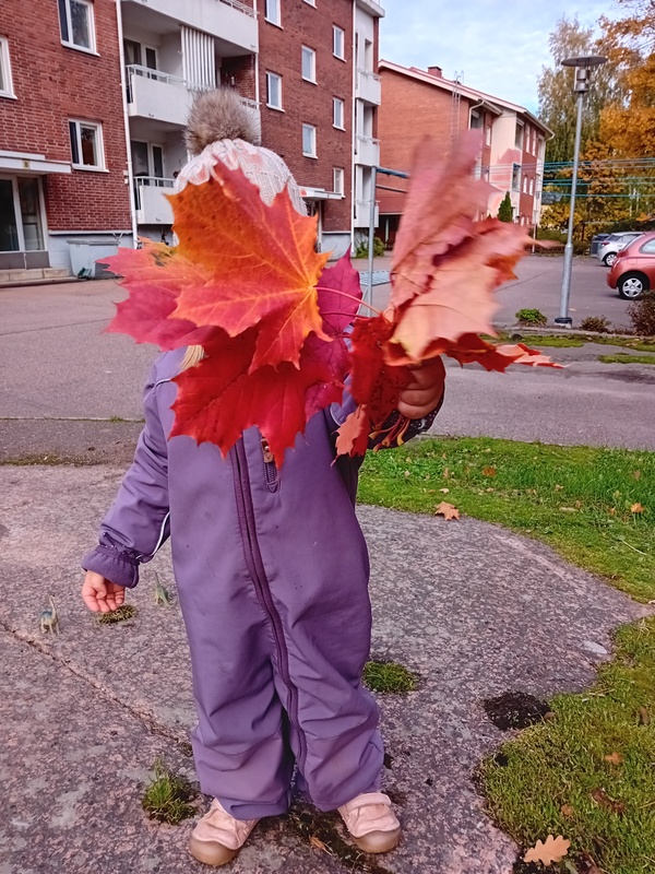 20251008_150256.jpg