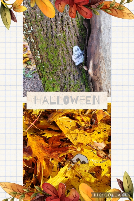 Collage_2025-11-05_13_44_17.jpg