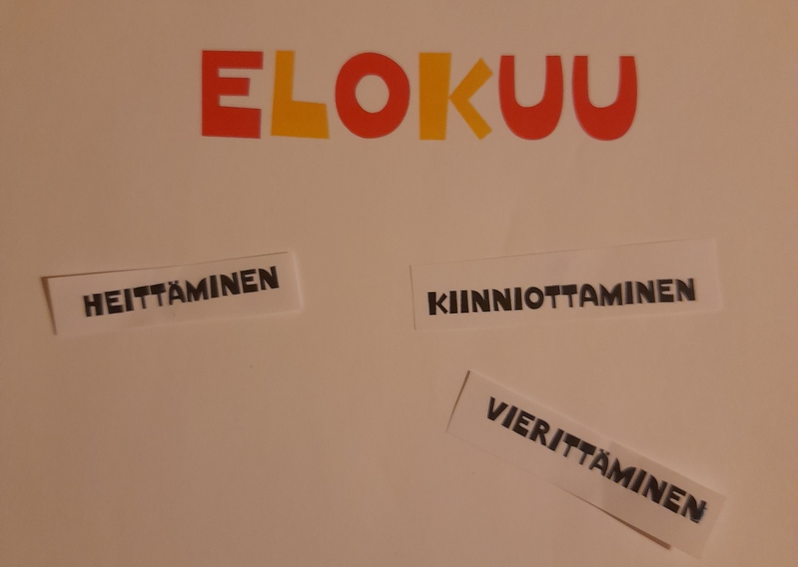 Liikunnan kuukausisuunnitelma