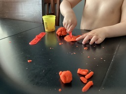 IMG_0137.jpeg