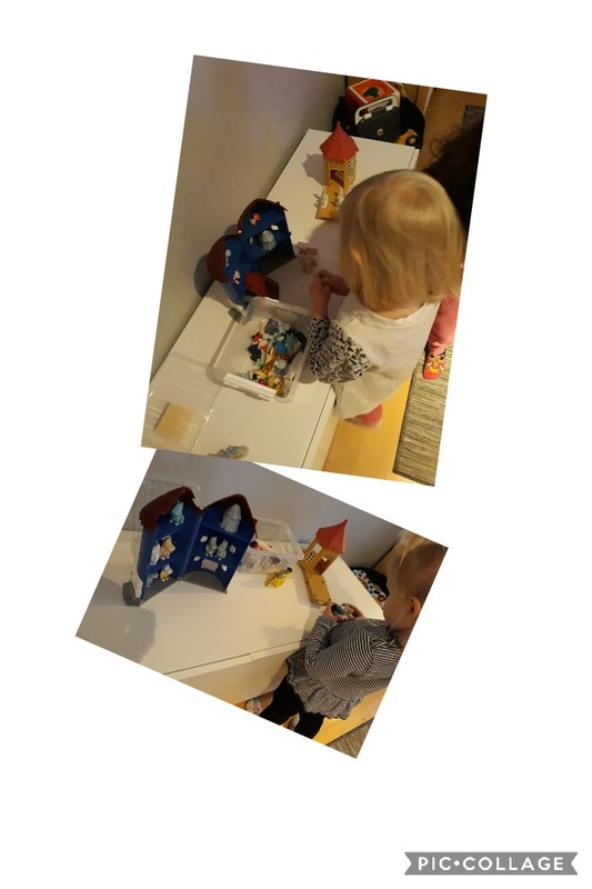 Collage 2020-02-14 10_53_55.jpg