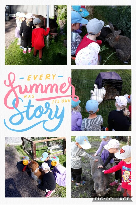 Collage 2021-06-04 14_33_58.jpg