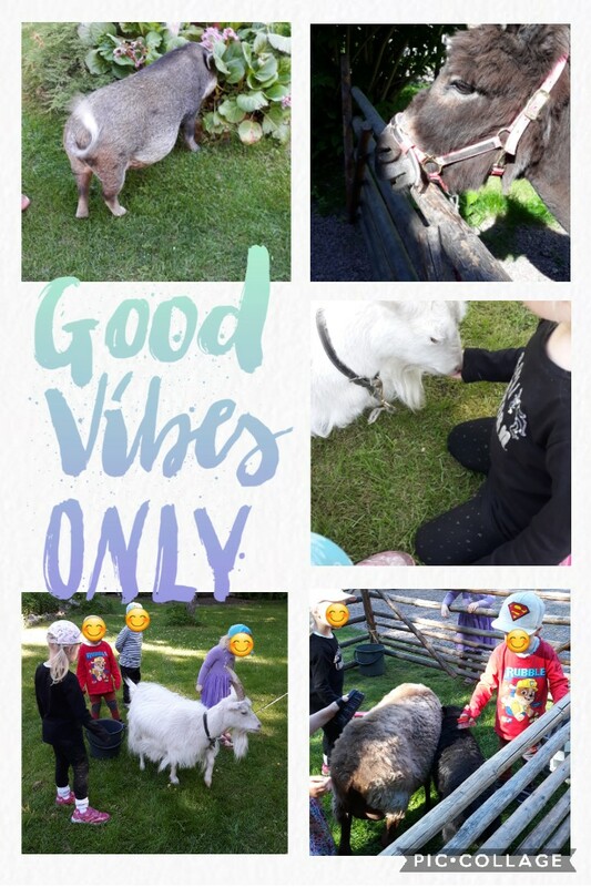 Collage 2021-06-04 14_39_38.jpg