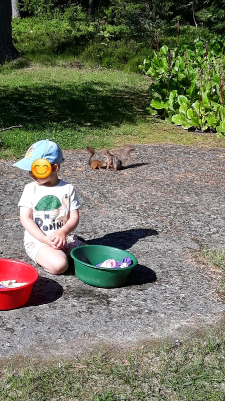 20210618_093147.jpg