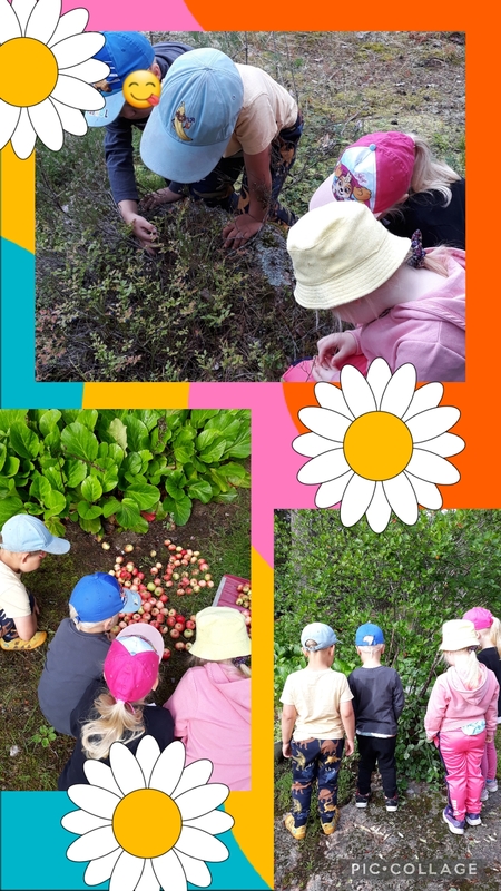 Collage_2022-08-08_09:39:17.jpg