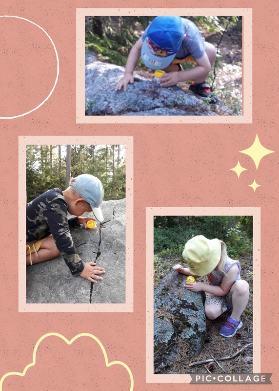 Collage_2022-08-16_11:32:12.jpg