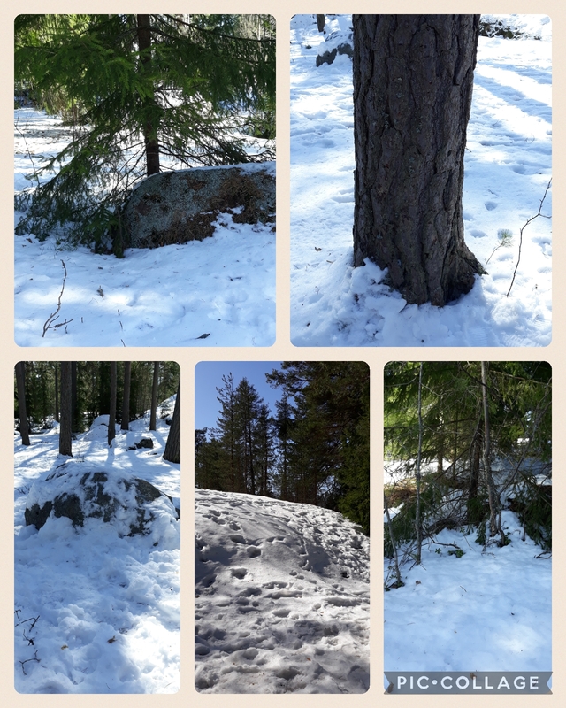 Collage_2023-04-03_14:35:06.jpg