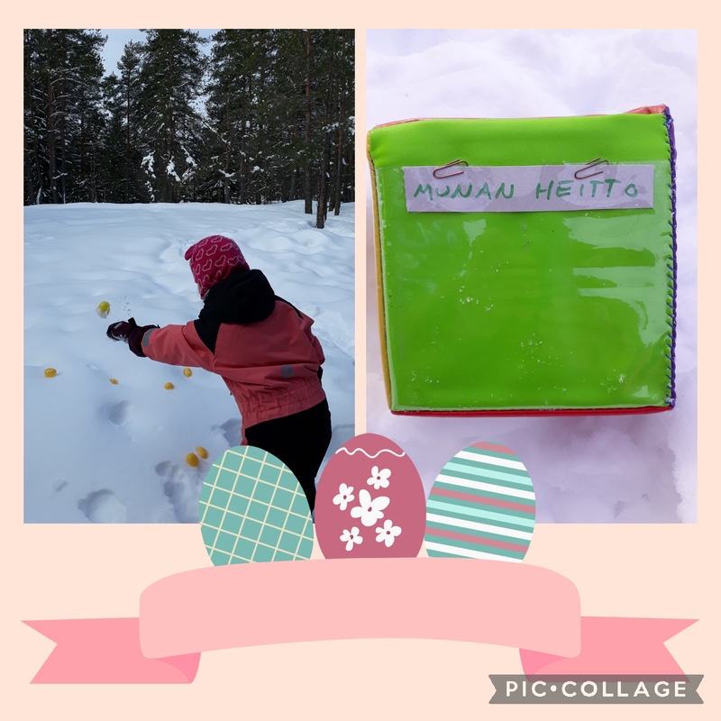 Collage_2023-03-31_11:15:30.jpg