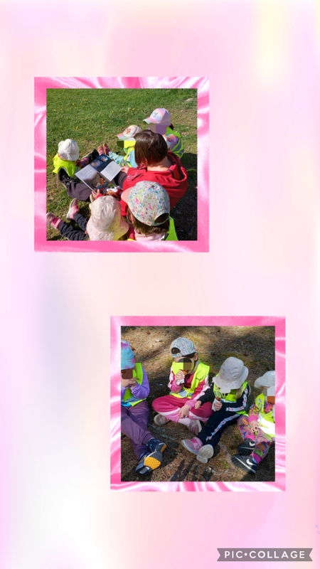 Collage_2026-05-26_11_21_00.jpg