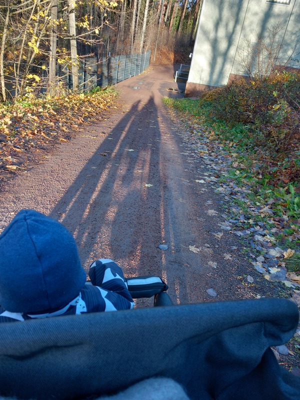 20241028_091440.jpg