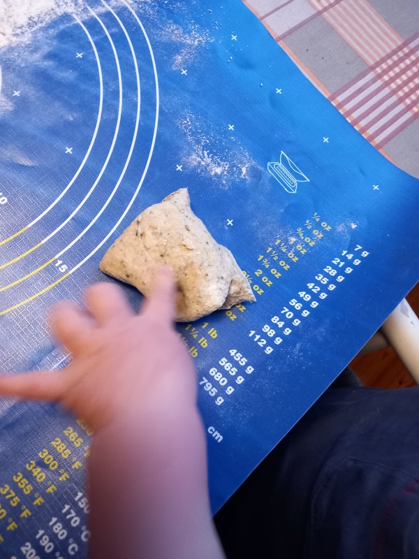 20241111_083047.jpg