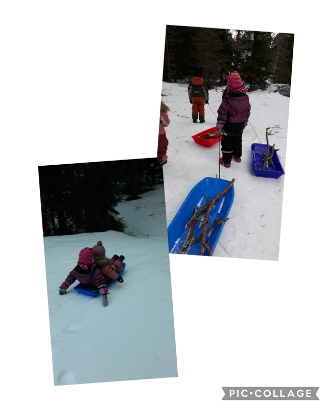 Collage_2023-02-02_10:23:49.jpg
