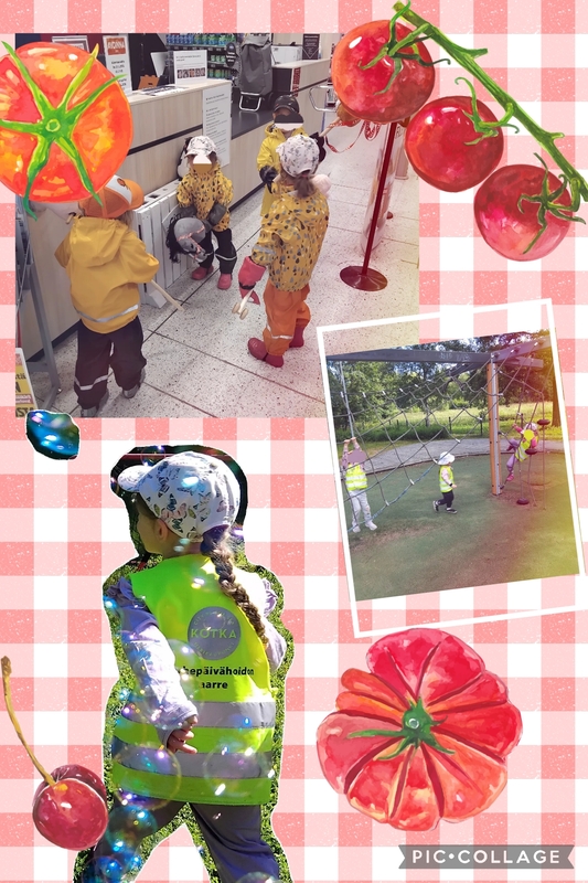 Collage_2026-06-26_15_22_55.jpg