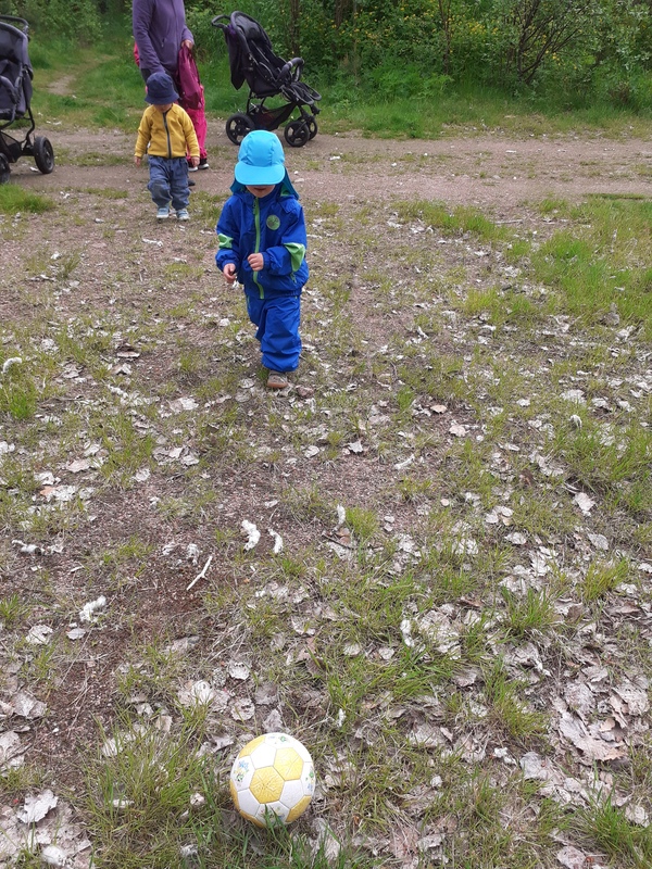 20250602_095711.jpg