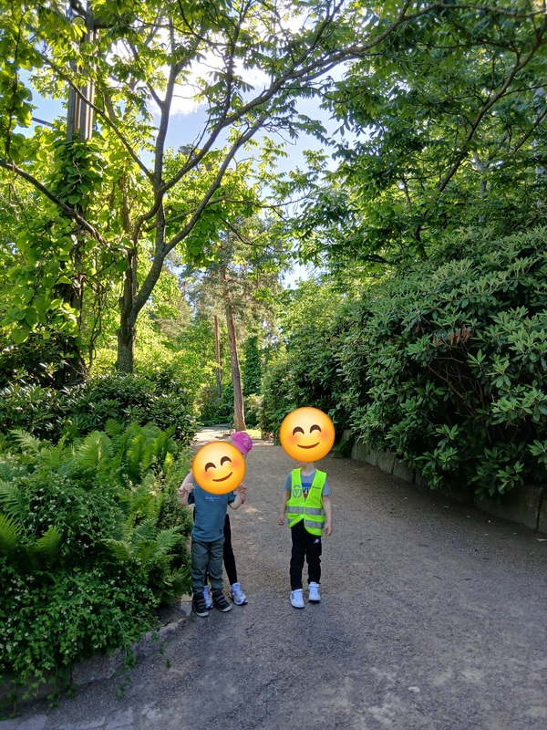 20260623_094345.jpg
