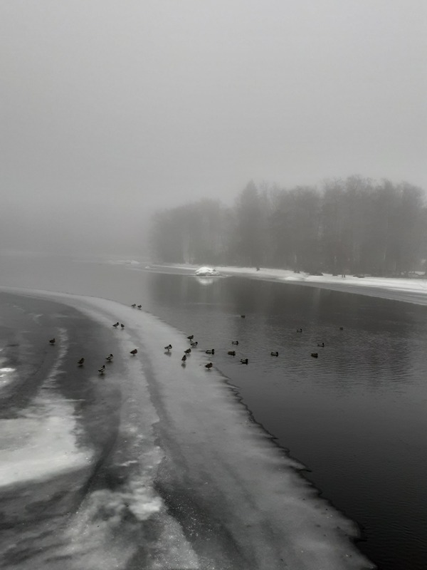20250227_105004.jpg