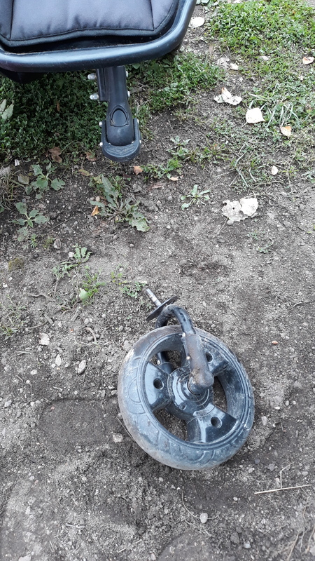 20210916_101626.jpg